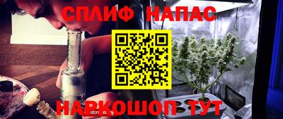 прущие грибы Кинель